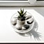 Design Suites Lytham