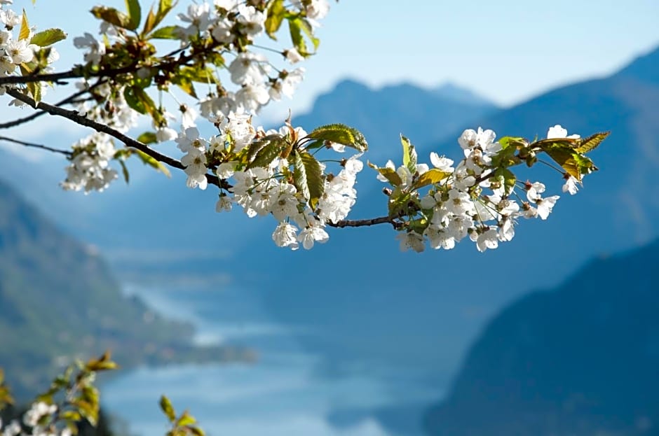 B&B l'Ariosa Lago d'Idro