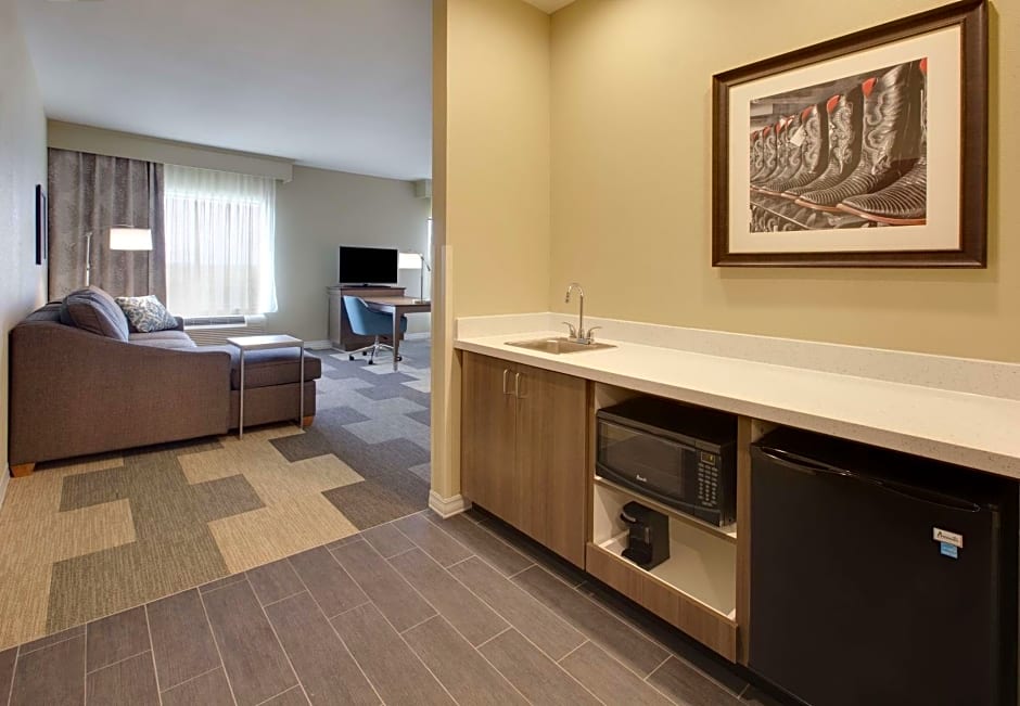 Hampton Inn By Hilton Snyder Tx
