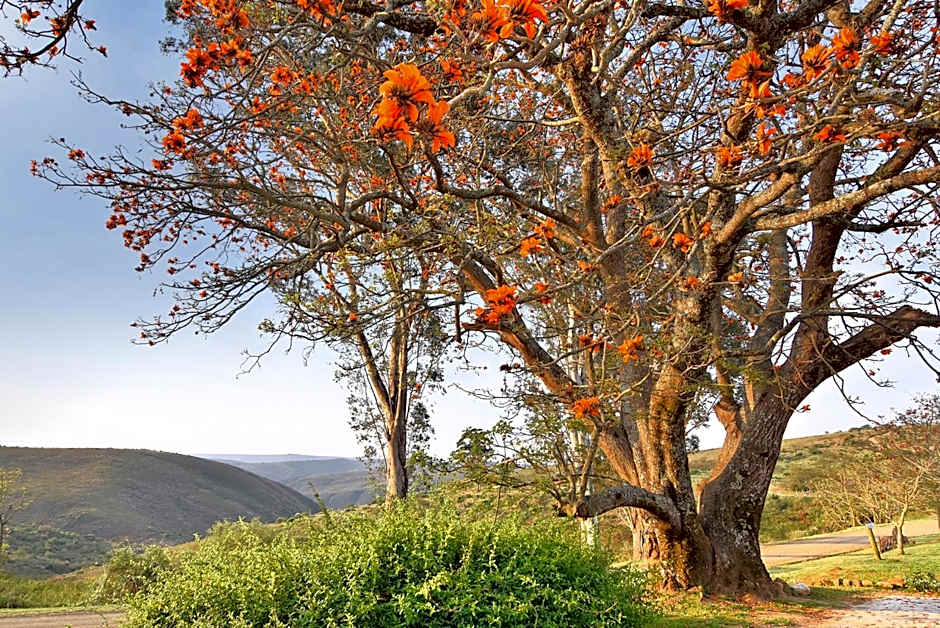 Zuurberg Mountain Village