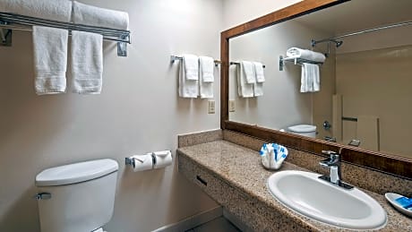 Suite-1 King Bed, Mobility Accessible, Roll In Shower, Sofabed, Non-Smoking, Full Breakfast