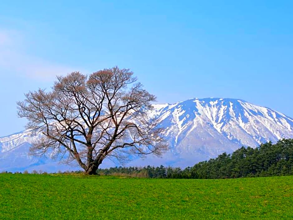 Toyoko Inn Kitakami-Eki Shinkansen-Guchi