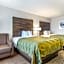 Quality Inn Suwanee I-85