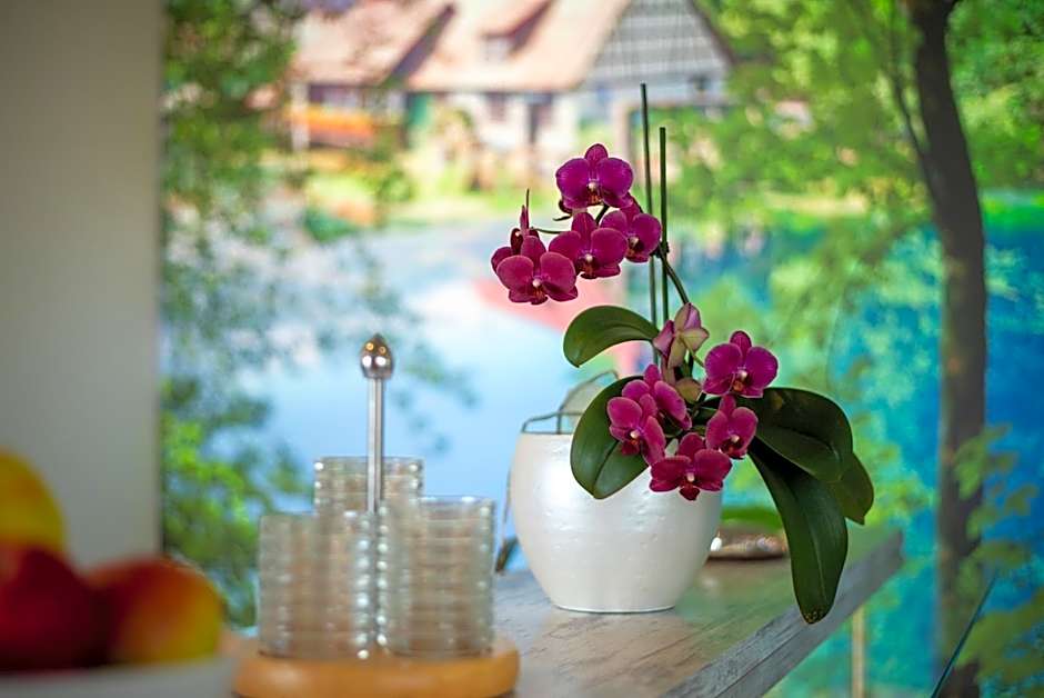 Alb Inn - Hotel & Apartments