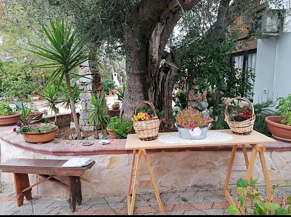 L'Isola Felice e Trulli Sotto Le Stelle