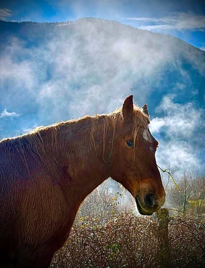 Viandanti, Artisti e Sognatori