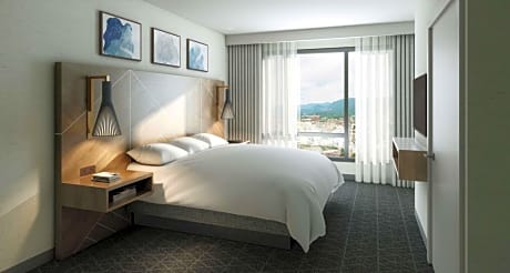 1 King Bed 2 Room Suite