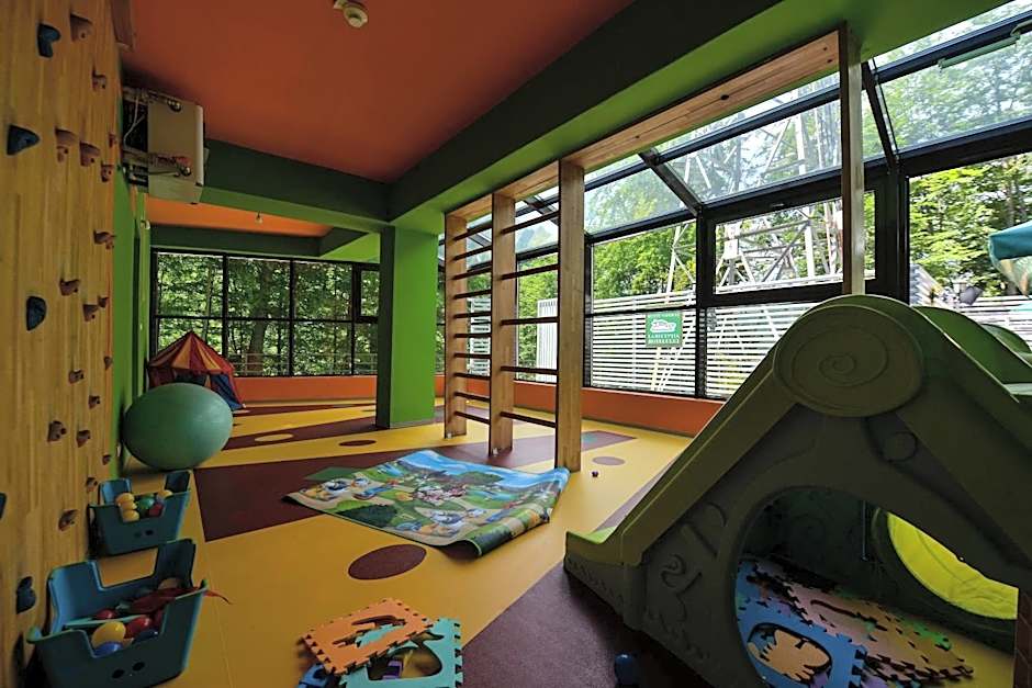 Hotel Posada Vidraru