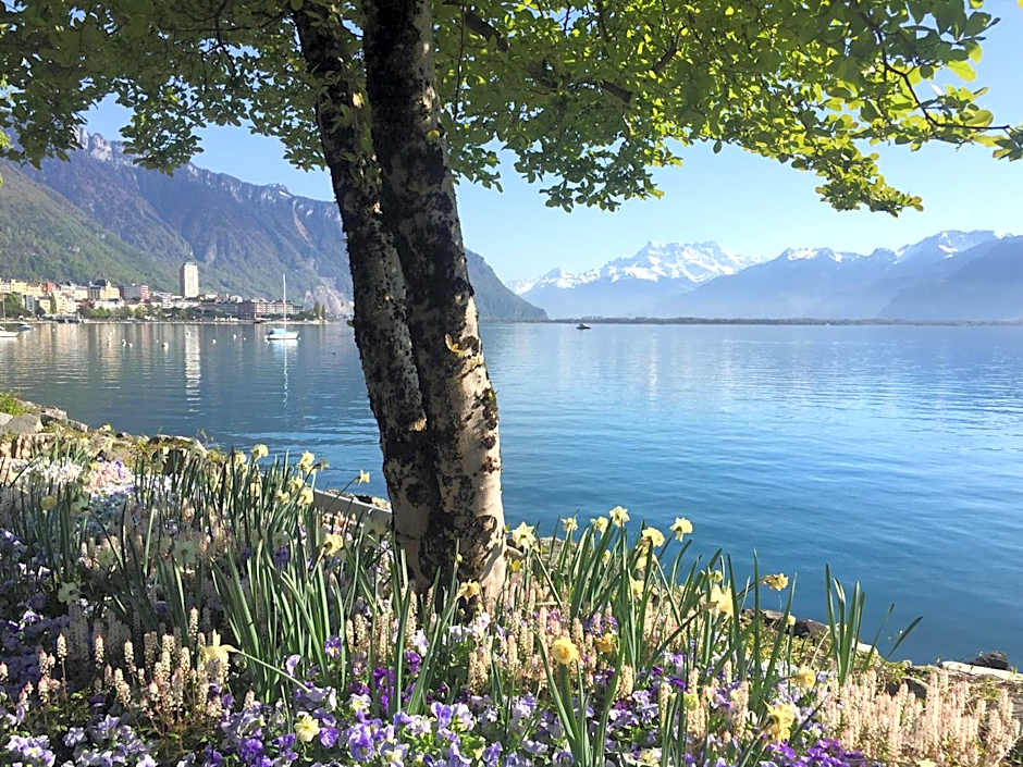 Royal Plaza Montreux & Spa