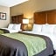 Comfort Inn & Suites Piqua-Near Troy-I75