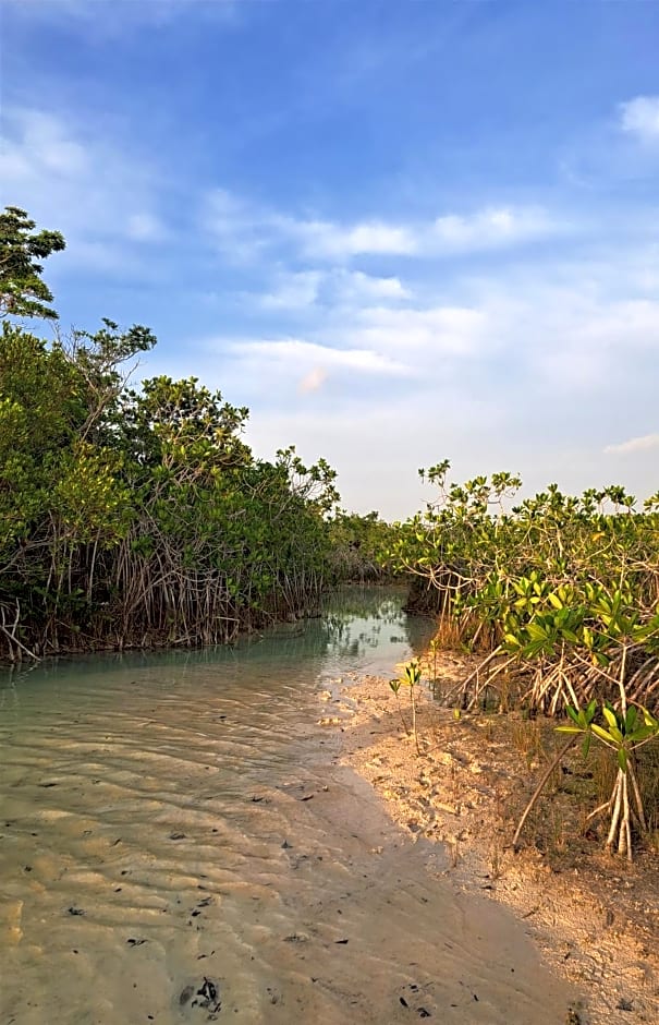 Cayuco Maya