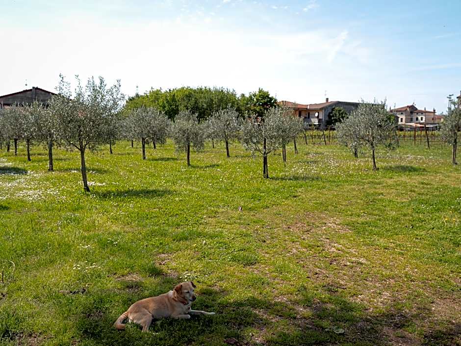 Villa Bongiovanni
