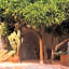 B&B CasaNera