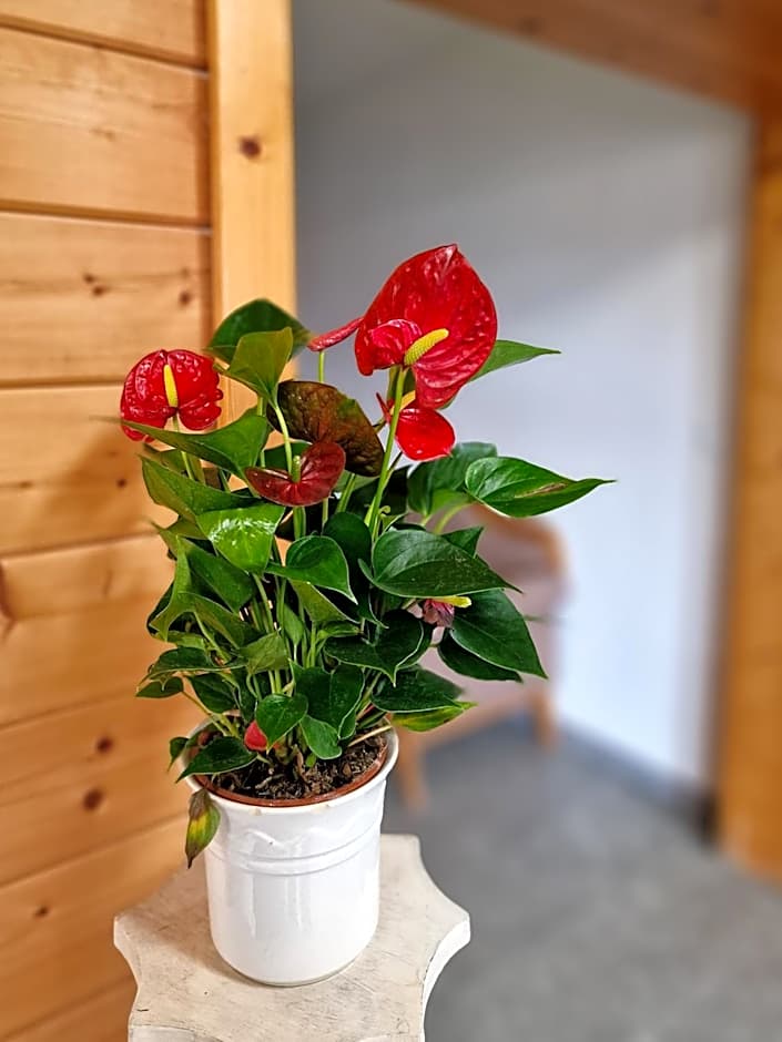 Ferien vom Ich, Bayerischer Wald, Hotel & Restaurant