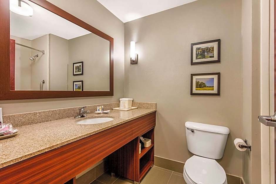 Comfort Suites Tuscaloosa near University