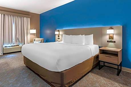 1 Room King Suite with Sofa Bed - Non Smoking