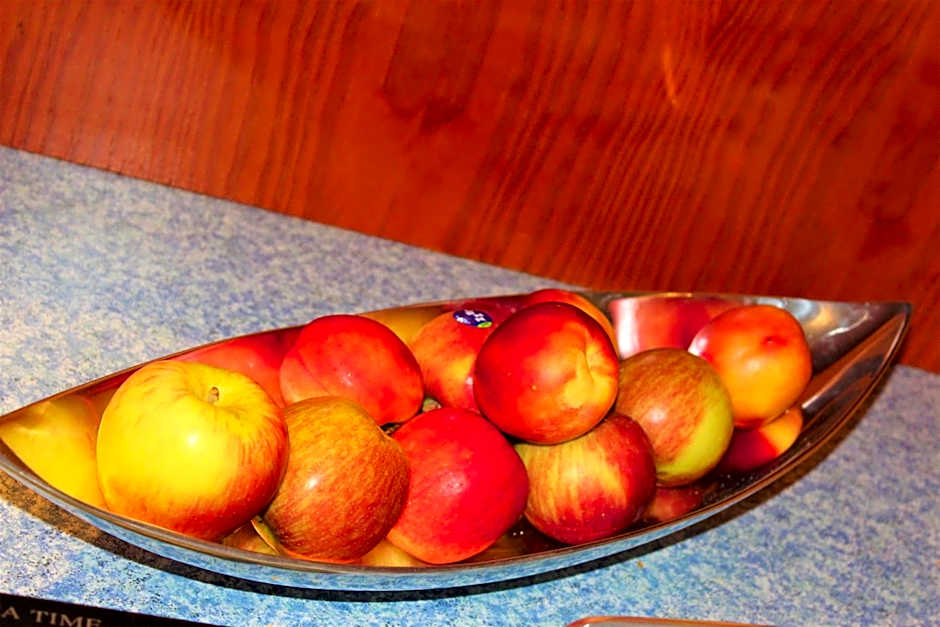 Hotel Alsterquelle 24h Check-in, Free Parking and WiFi