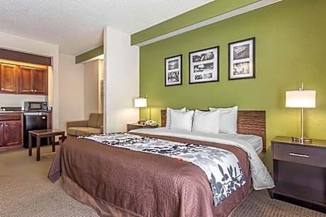 1 King Bed, Suite, Nonsmoking