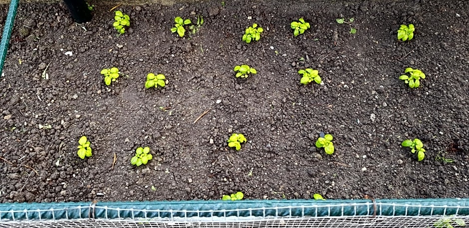 Agriturismo La Mandragola Relais