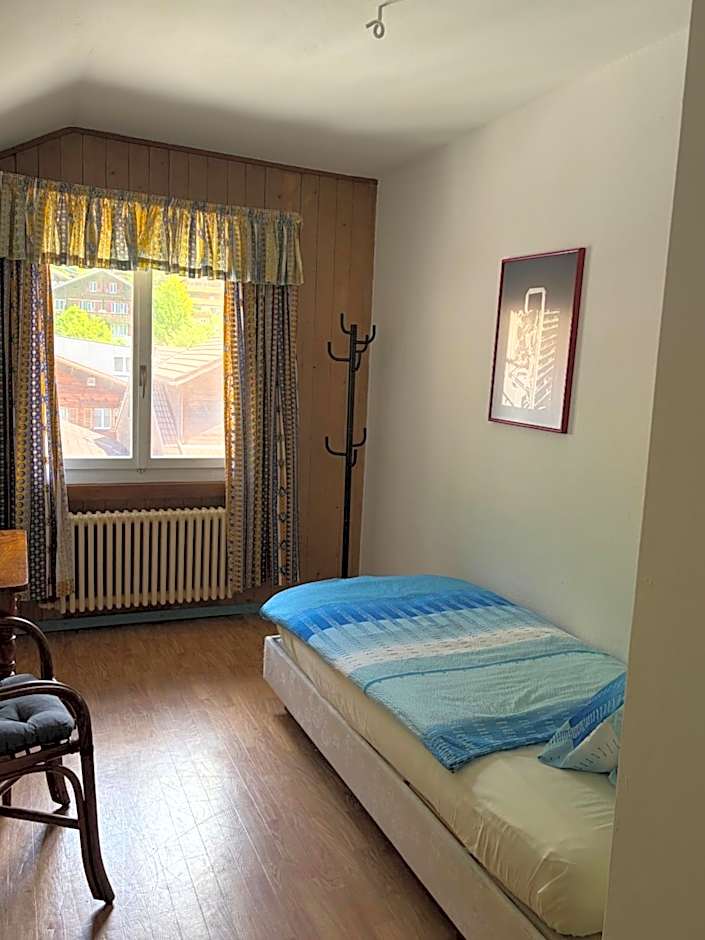 Seehotel Bären