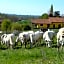 Il casotto nelle Langhe