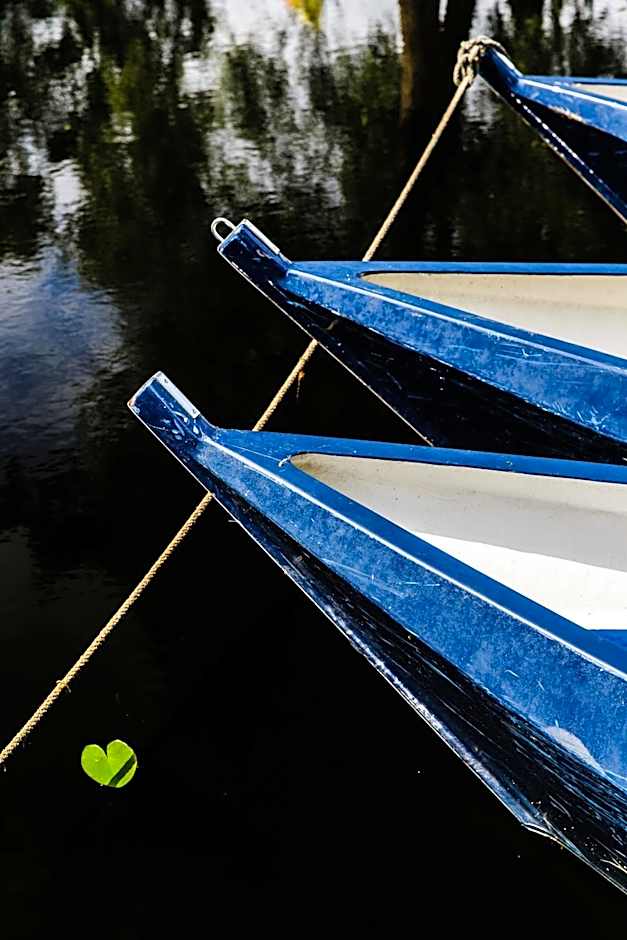 De Dames Van De Jonge Hotel Restaurant