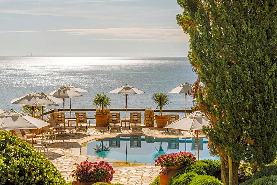 Il Pellicano