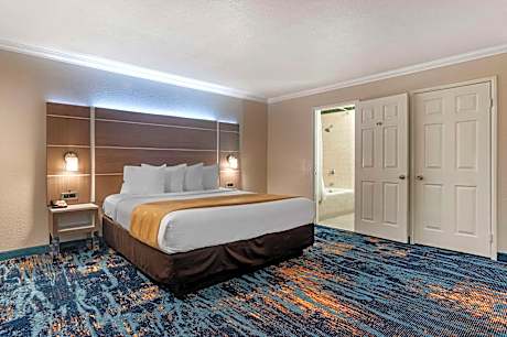 King Room - Disability Access/Non-Smoking