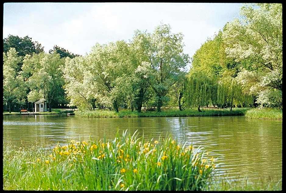 Hotel-Restaurant Du Lac