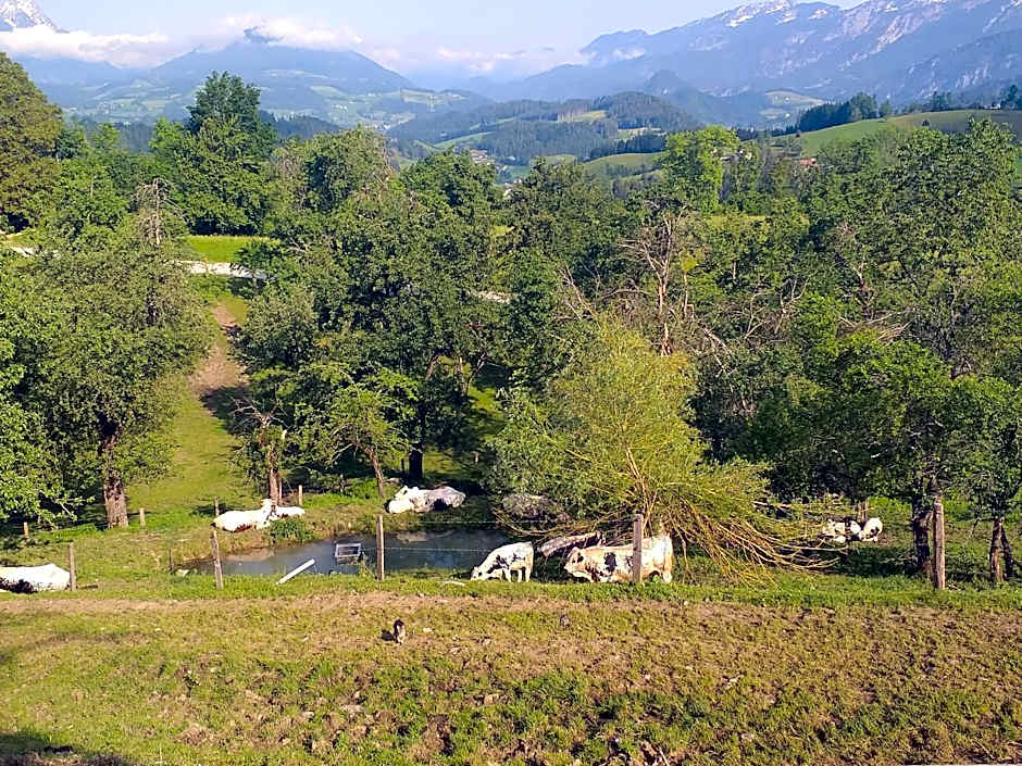Landhotel Oberwengerhof