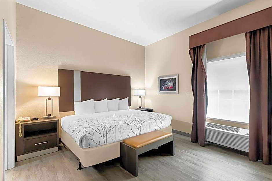 Best Western Boerne Inn & Suites