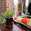 Riad Dar Alia