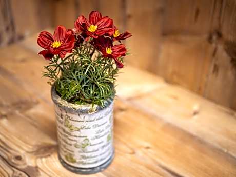 Single Room with Mountain View