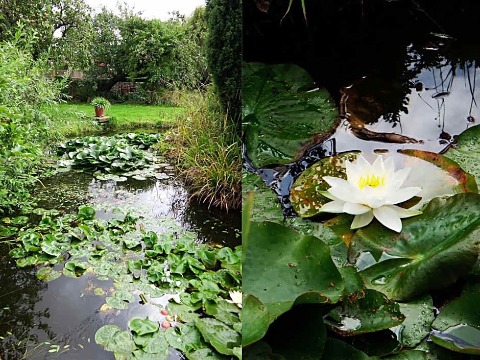 Kenilworth Garden Accomodation