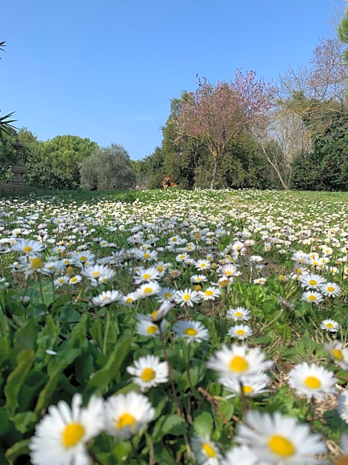 Le Jardin de LaCoste