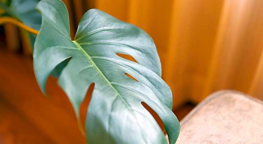 Hotel Gendairakuen Isehara