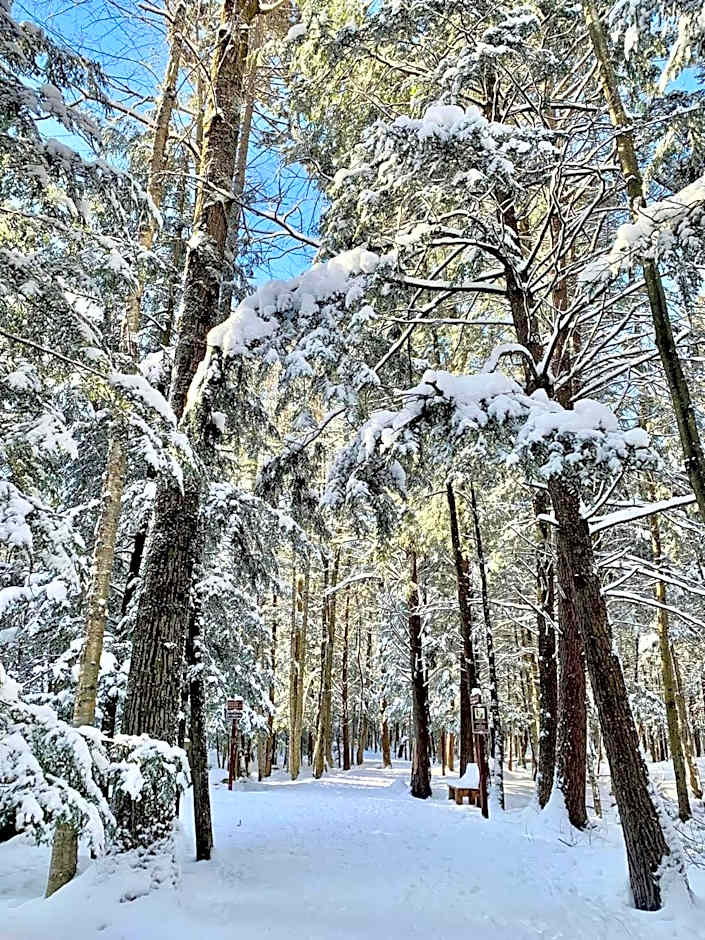 Au Gré Du Temps - Gîte B&B