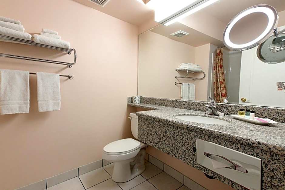 Crystal Star Inn Edmonton Airport with free shuttle to and from Airport