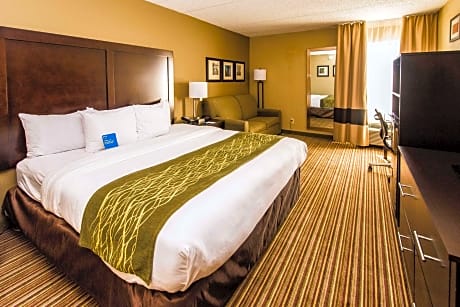 King Room with Roll-In Shower - Accessible/Non-Smoking
