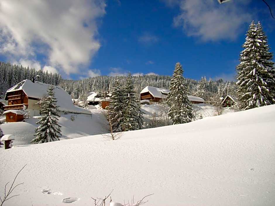Schwarzwald-Hotel Kraeutle