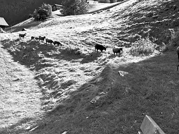 Hotel Daneu Gaschurn