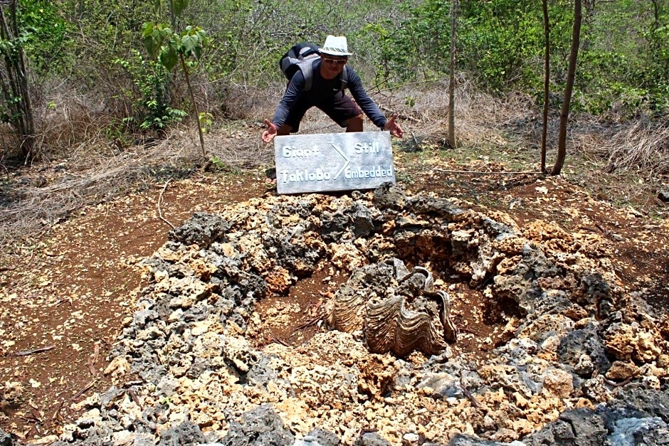 Bolinao Transient House B