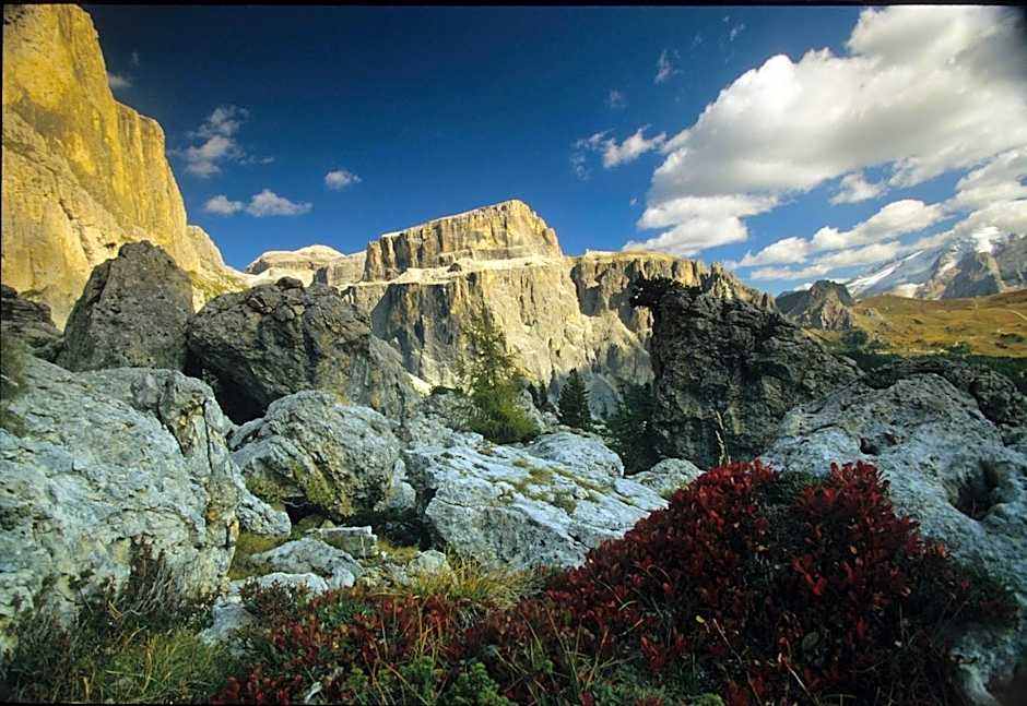 Hotel Crepes de Sela