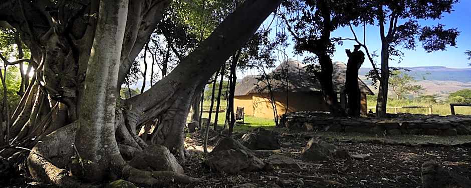 Caracal Lodge
