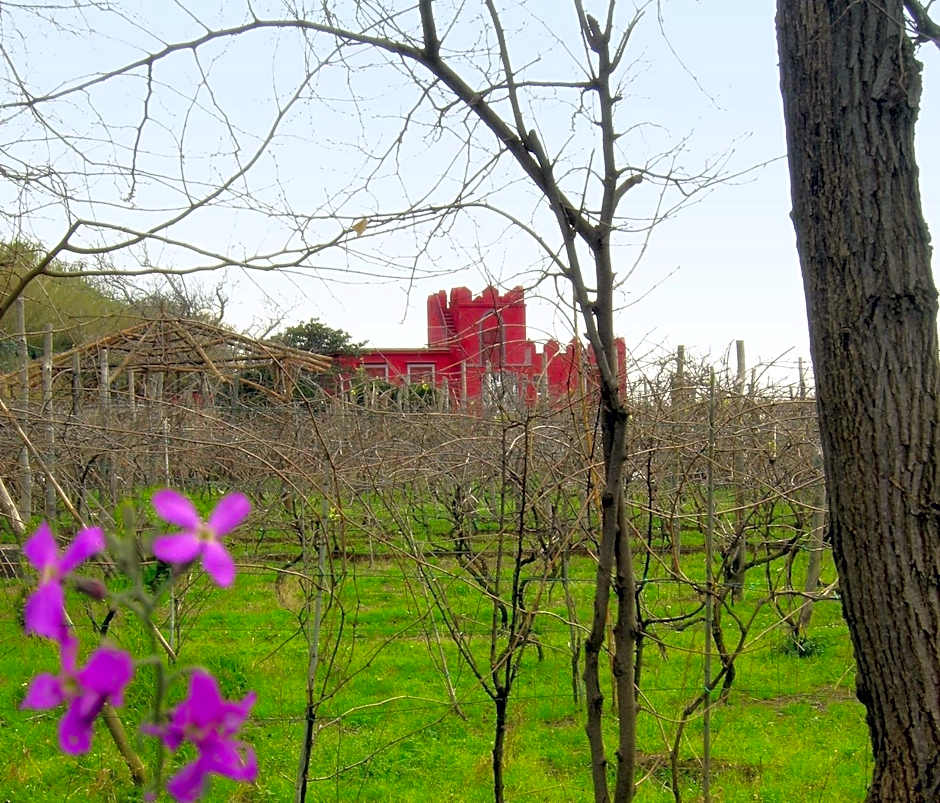 Albergo 'La Vigna'
