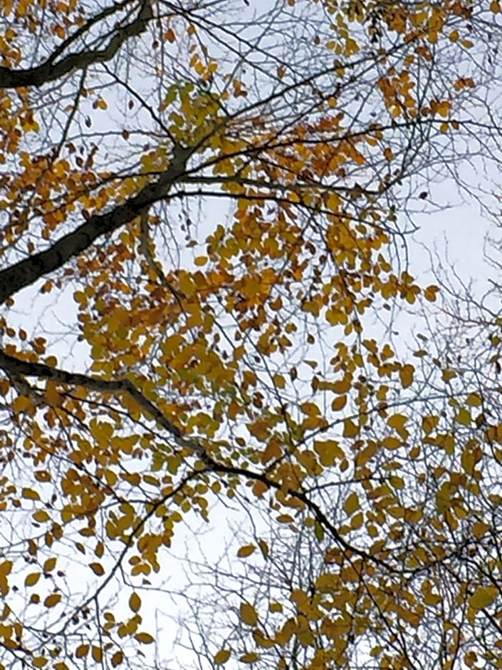 Chez Fred et Cécile