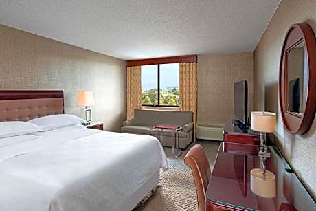 Deluxe Guest room, 1 King, Sofa bed, High floor