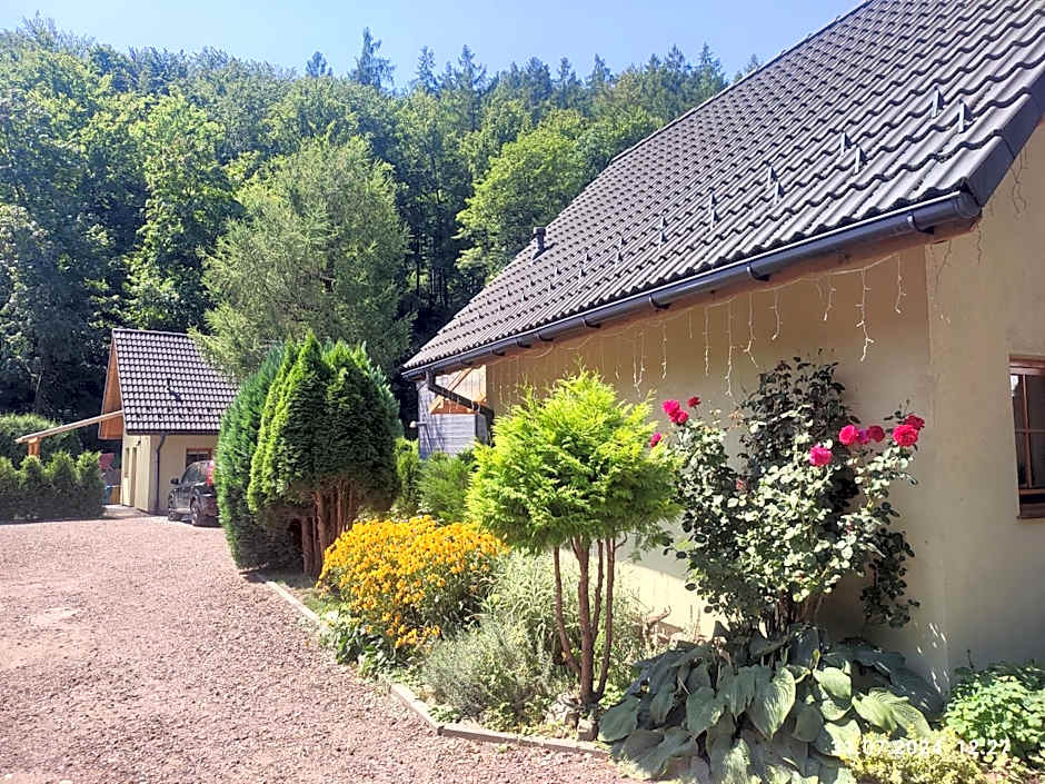 Domki Na Źródlanej