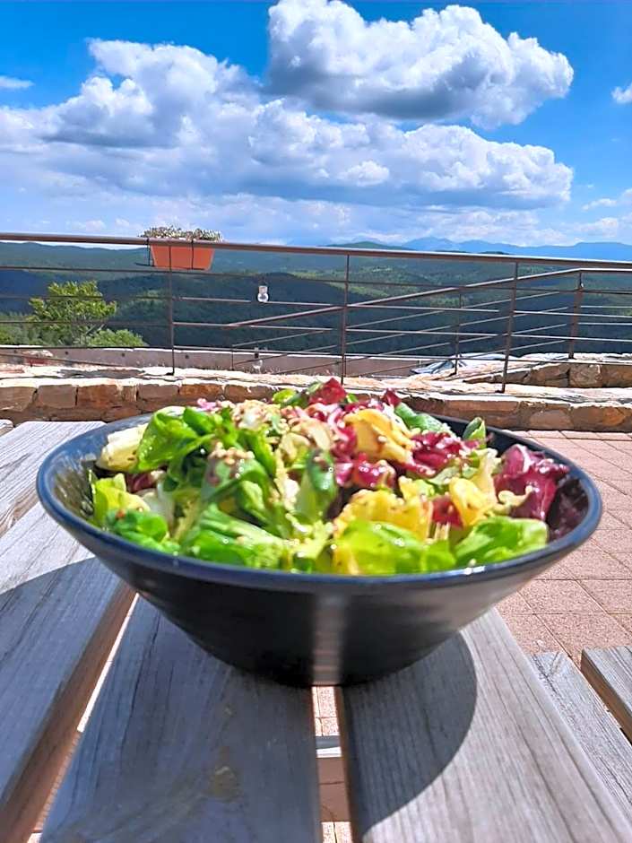 Foresta in Medias Mores