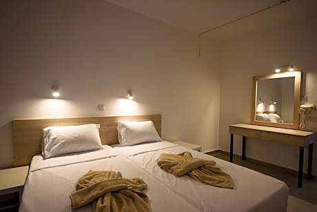 Deluxe One-Bedroom Apartment